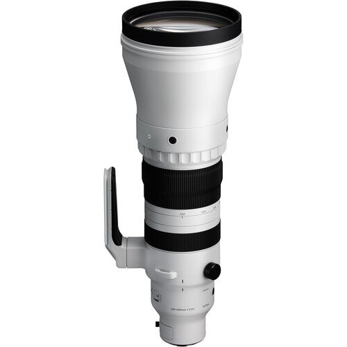 Sigma 300-600mm f/4 DG OS Sports za Sony E - 2